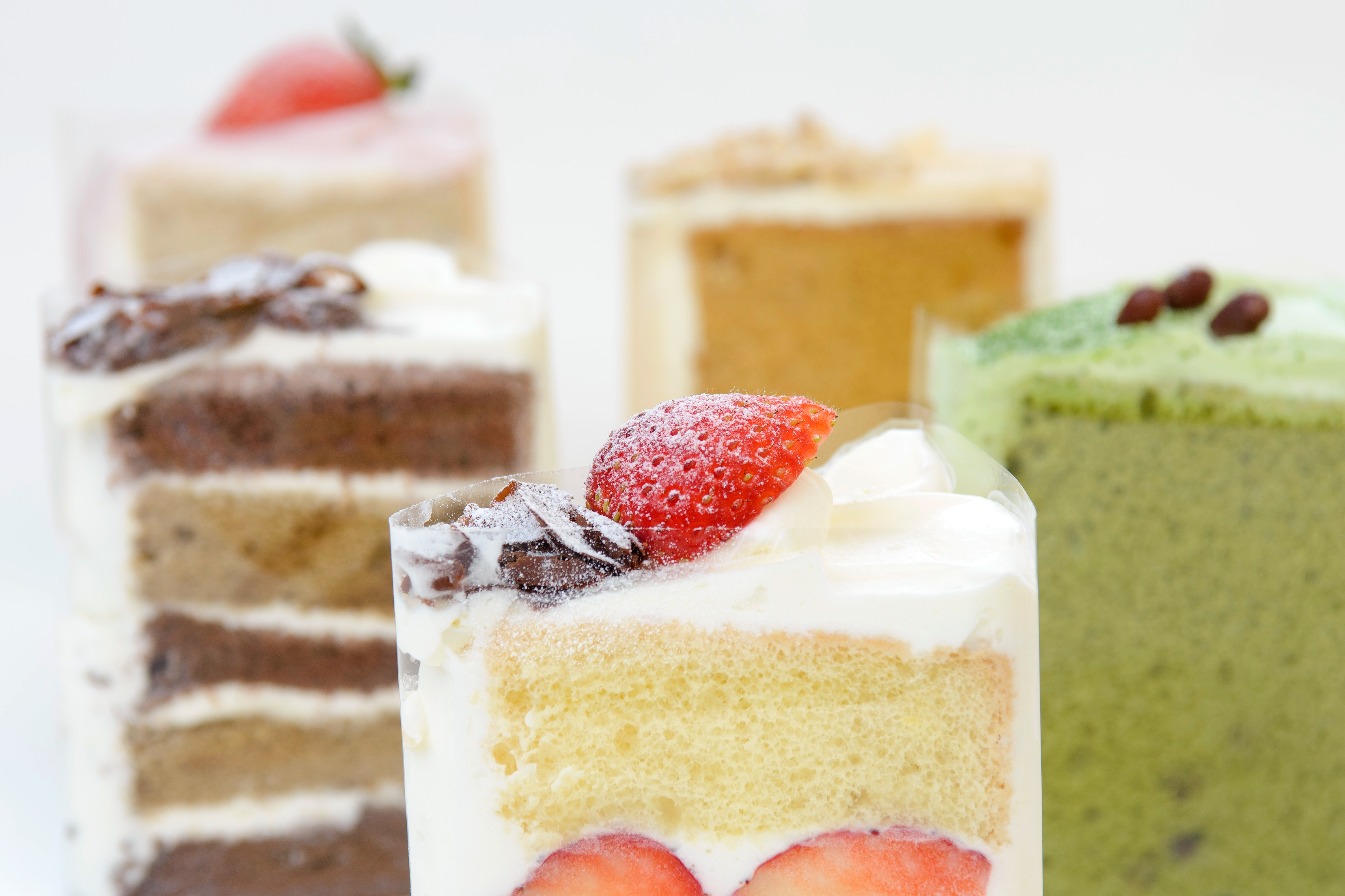 シフォンケーキ ポンポンダリア